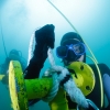 Curso de Buceo Profesional - Pequea Profundidad