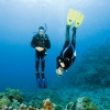 Curso Iniciacin - Open Water Diver