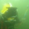 Curso de Buceo Profesional - Pequea Profundidad