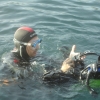 Curso de Iniciacin -Open Water Diver