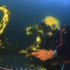 Curso de Buceo Profesional - Pequea Profundidad