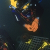 Curso de Buceo Profesional - Pequea Profundidad