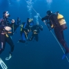 Curso de Iniciacin -Open Water Diver