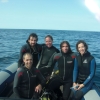 Curso de Iniciacin -Open Water Diver