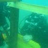 Curso de Buceo Profesional - Pequea Profundidad