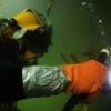 Curso de Buceo Profesional - Pequea Profundidad