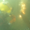 Curso de Buceo Profesional - Pequea Profundidad