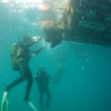 Curso de Buceo Profesional - Pequea Profundidad