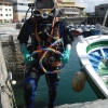 Curso de Buceo Profesional - Pequea Profundidad