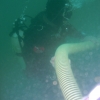 Curso de Buceo Profesional - Pequea Profundidad