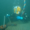 Curso de Buceo Profesional - Pequea Profundidad