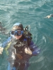 Curso de Iniciacin -Open Water Diver