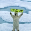 Greenpeace plantar en el Polo Norte una bandera a 3 km de profundidad para pedir la proteccin del rtico
