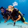 Curso de Iniciacin - OPEN WATER DIVER